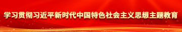 啪逼逼啪逼逼学习贯彻习近平新时代中国特色社会主义思想主题教育